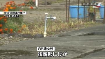 85歳女性、自宅敷地でクマに襲われる　後頭部にけが　秋田