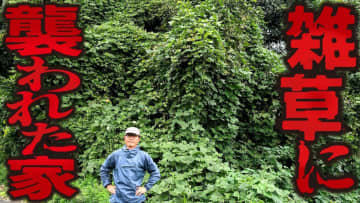 怖いほど雑草で覆われた家を爽快に“一掃”　プロの手捌きに視聴者から称賛の声「素晴らしい」