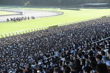 「JRAやりやがった…」　菊花賞デーの新潟競馬場に超話題馬が降臨　原作者も「聞いてない！」