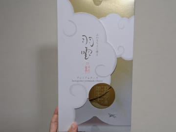 【羽田空港】羽田空港でしか買えない！羽雲プレミアムチーズ