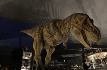 【恐竜が動き出す夜】福井県立恐竜博物館を研究員と「貸切」！ホテルハーヴェストスキージャム勝山が1日限定の激レア宿泊プランを発表！