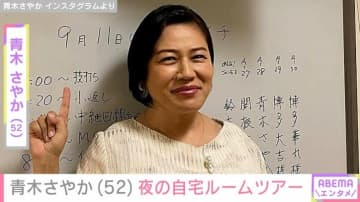 青木さやか（52）、“夜のルームツアー” リノベーションした自宅に「センスの塊」「すてきな空間ですね」などの反響