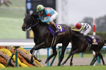 【菊花賞】エネルジコ鮮やかな差し切りでG1初制覇…ルメール騎手は菊3連覇