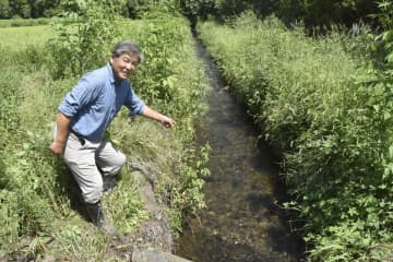群馬・沼田、真田家ゆかりの用水でコメ作り　「小松姫」甘み強く人気、大会金賞6回