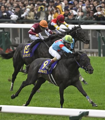 競馬の菊花賞、エネルジコが優勝　G1初制覇で重賞2勝目