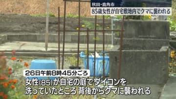 秋田・鹿角市で85歳女性が自宅敷地内でクマに襲われケガ　秋田市の中心部でもクマが目撃される