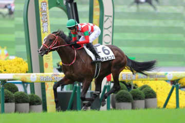 【新馬/京都5R】GLAYボーカルのTERU命名テルヒコウが逃げ切る
