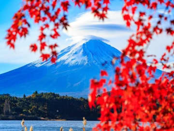 「山梨」に詳しい旅のプロが感動した！ 富士山が見える秋の名所3選【2025年最新】