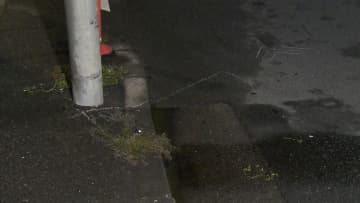 車が電柱に衝突…後部座席に乗っていた8歳男児が死亡　東京・青梅市