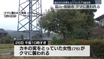 女性がクマに襲われ…腕や頭にケガ　庭の柿の実を収穫中に　富山・南砺市