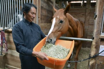ふるさと納税で引退馬支援　名付け親やふれあい体験