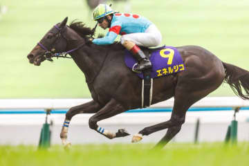 【菊花賞】ルメール「すごくいい脚を使ってくれました」レース後ジョッキーコメント