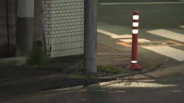 「お母さんが心臓マッサージされていた」車が電柱に衝突…後部座席でシートベルト着用の8歳男児死亡　東京・青梅市