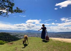 Wakakusa Hilltop Bus 運行開始　インバウンドのお客様に人気の若草山山頂にダイレクトにアクセス！