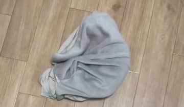 床の上をクネクネとうごめく『怪しい物体』→つついてみると…110万再生を記録した微笑ましい瞬間に「あるあるだよねｗ」「ホラーかと思ったｗ」