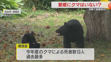 「愛媛にクマは本当にいないのか？」53年前に小田町で捕獲されたツキノワグマを最後に生息確認なし【愛媛発】