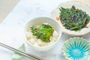 速水もこみち『大葉飯』のレシピが話題!醤油漬け大葉&おかかご飯が”相性抜群”、深い味わいの一品が完成…主婦からも絶賛の声「卵黄乗せても美味しそうですねー!」「巻きながら食べてたらすぐなくなっちゃいますね」