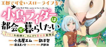 モフモフと気ままな空の旅「鳥ライダーは都会で暮らしたい 　モフモフな相棒と、のんびり異世界冒険記」竹コミ！にて連載開始