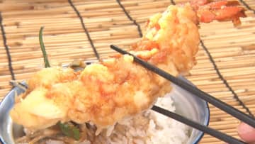 全長67cmの“赤い将軍”！ 巨大イセエビのフルコースを味わう『DASH海岸』