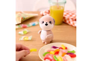 シャープ、対話AIロボ「ポケとも」を11月21日に発売　購入者限定イベントも開催