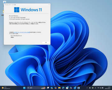 ブルスクエラーの原因はメモリに？　Windows 11に「プロアクティブメモリ診断」／Dev/Betaチャネルで試験導入