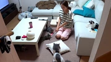 みりちゃむが預かる保護猫・うみママの行動に変化が！先住猫を交えた“彼氏の友達だから怖くないでしょ作戦”効果は？