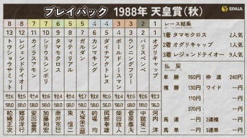 【天皇賞（秋）】古馬の意地を見せたタマモクロスがオグリキャップを撃破　芦毛対決に沸いた1988年をプレイバック