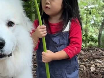 あまりの可愛さに「心が浄化された」　相合い傘をする超大型犬と3歳娘に、キュン！