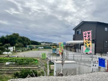 入場無料!やみつきシャインマスカットのぶどう狩り【行ってきた】やばせのヤミットを自分で選んで収穫できる人気直売所【矢橋マスカット農園】