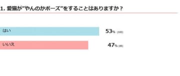 愛猫が“やんのかポーズ”をすることはある？　獣医師の解説つき