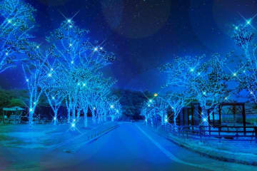 大阪・堺「ハーベストの丘」“約100万球のLED”輝く25年イルミネーション、光るカピバラや青い森