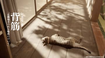 日向でゴロンゴロンする猫と不気味な男…『まだ猫は逃げますか？』Steamにてリリース。怪奇現象の謎を解き明かす探索ステルスACT
