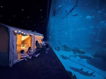 【シンガポール】セントーサ島の水族館、期間限定で宿泊体験［観光］