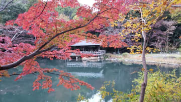 紅葉の見ごろ予想にチャレンジ！お天気別の撮影ポイントも知って、深まる秋を楽しもう