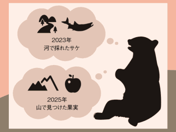 ゴミを山に捨ててはいけない… クマの食に関する記憶力が恐ろしいワケ【眠れなくなるほど面白い 図解 クマの話】