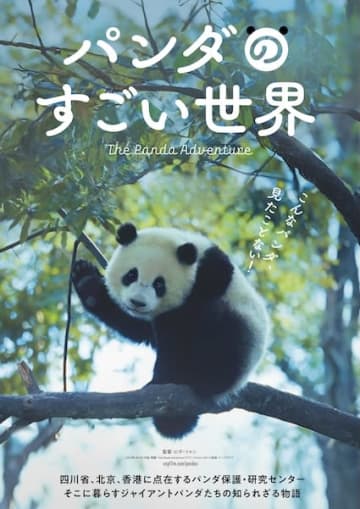シャンシャンも登場！愛くるしい姿と知られざる生態に迫るドキュメンタリー『パンダのすごい世界』