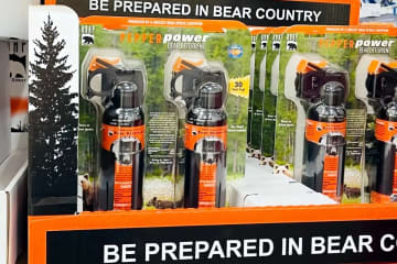 日本で相次ぐクマ被害、韓国メディアも注目「半年で172人死傷」＝ネットは「韓国も」と危惧