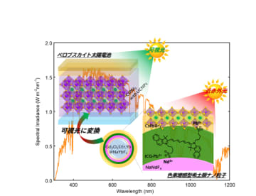 近赤外光も利用可能なアップコンバージョン型ペロブスカイト太陽電池の開発に成功