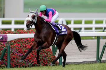 【天皇賞秋／危険な人気馬】古馬筆頭格に「0.1.3.6」の現実と、東京コース不安の戦績と血統に「ドラマなし」の判断