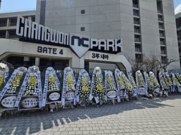球場死亡事故の責任は委員会か自治体か　韓国プロ野球が抱える「構造的欠陥」