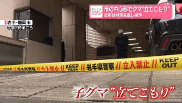 子グマ“立てこもり”　盛岡市の中心部、銀行の地下駐車場で…　政府はクマ対策の見直しを指示