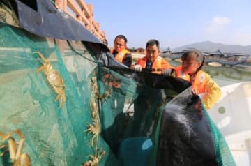 黄土高原で上海ガニが豊漁―中国