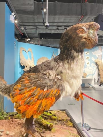 来館者が恐竜の模型の口に手を入れて抜けなくなる、やむなく模型の下顎を切断して救出―中国