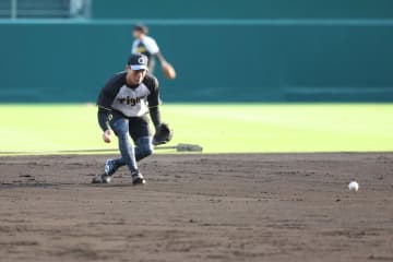 【阪神】日本Ｓで地の利を生かせるか　甲子園決戦を左右する「晩秋の湿る土」