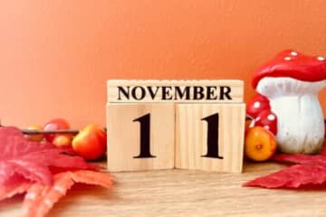 親子で夢中になれる体験がいっぱい！恐竜ワークショップやどんぐりごまで遊ぼう♪「こどもワークショップ あそびにっく」開催★【ブランチ大津京】