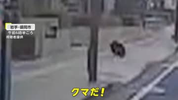 各地でクマ目撃・捕獲　岩手・盛岡市中心部の銀行駐車場に子グマ、広島市にも　秋田県知事は捕獲支援のため自衛隊派遣を要請