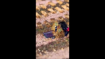 レンズを通して見る農場風景　中国内モンゴル自治区