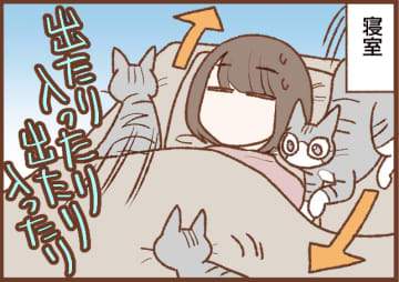 【吉川さん家の猫事情】#116話 出入り自由！