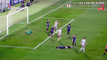 なでしこジャパン、ノルウェーに0ー2敗戦　主導権握るもゴール遠く　欧州遠征は未勝利に終わる