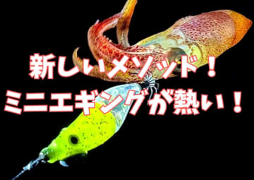 シーズン本番！ブレイク中の『テンタコ』は手に入れたか？【ヒイカ釣り/ミニエギング】